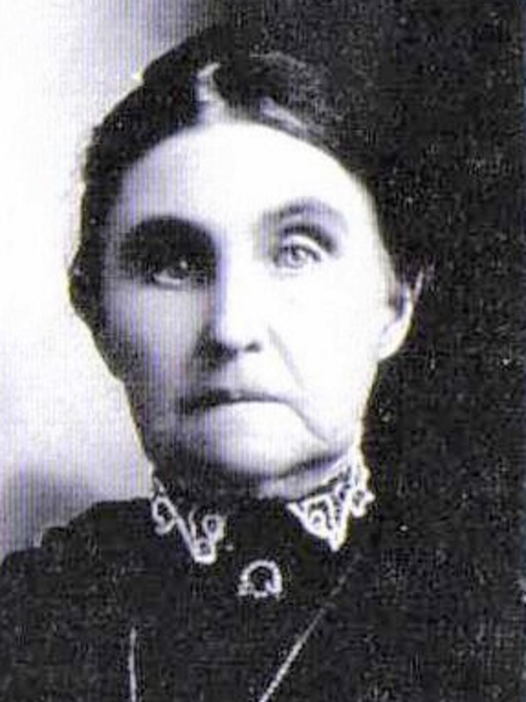 Amy Experience Hancock (1835 - 1921) Profile